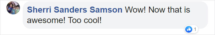 Sherri Sanders Samson Facebook Comment