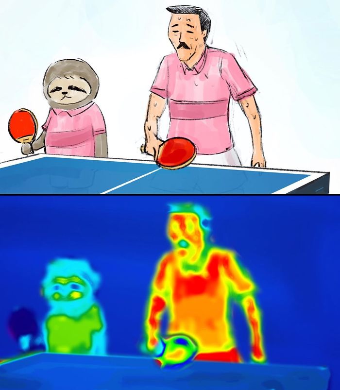 Sloth and a Man Playing Pingpong