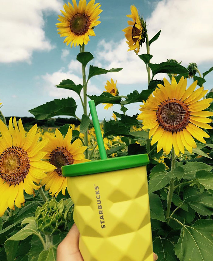 Starbucks' Pineapple Tumbler with Sunflower Backdrop