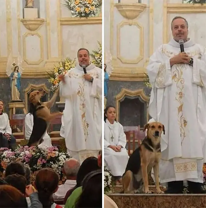 Stray Dog Standing Beside Father João Paulo Araujo Gomes as He Celebrates Mass