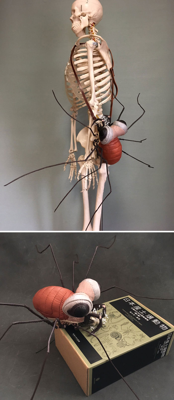 amaheso creature-inspired handbags spider