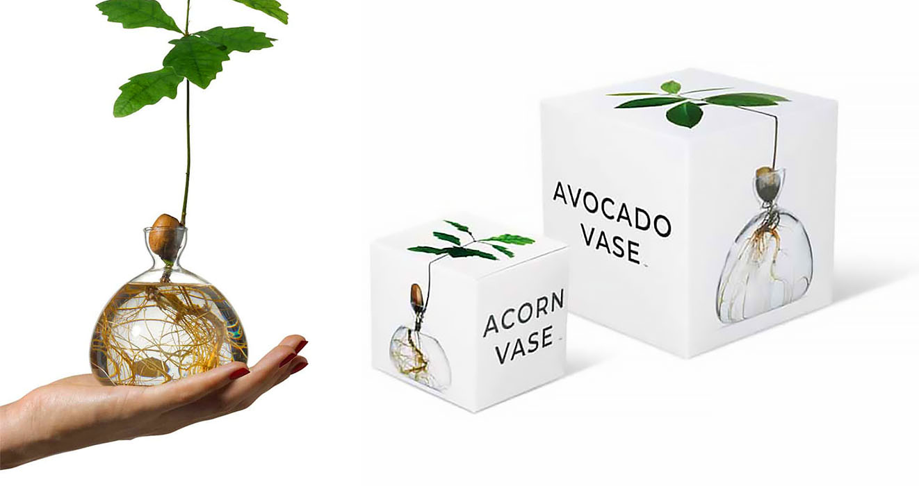 avocado and acorn glass vases
