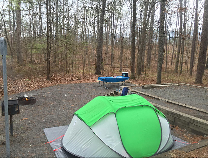 coleman 4-person pop-up tent camping