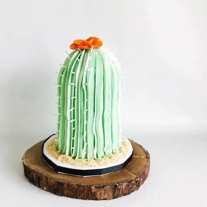 darci amazing cakes cactus