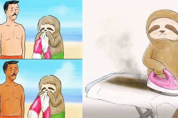 funny sloth drawings