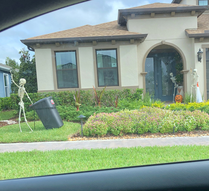 halloween skeletons cleaning up