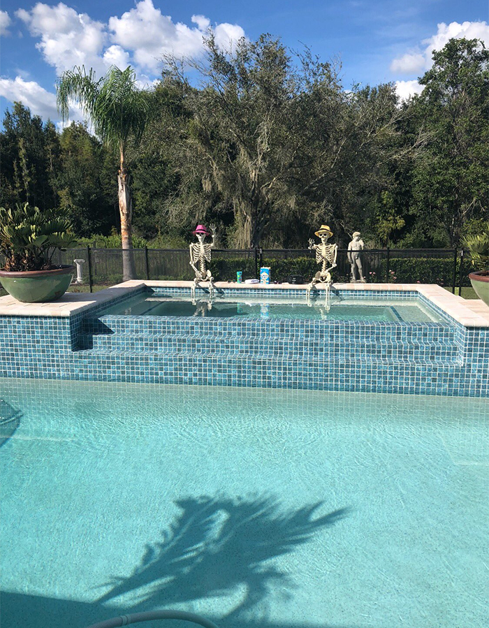 halloween skeletons in the real pool