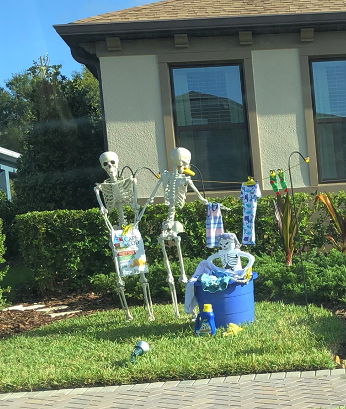 halloween skeletons laundry