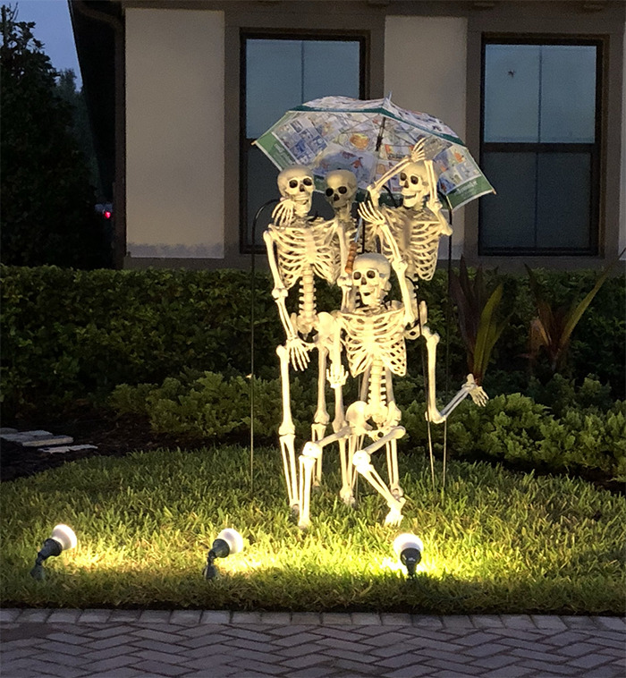 halloween skeletons sharing umbrella