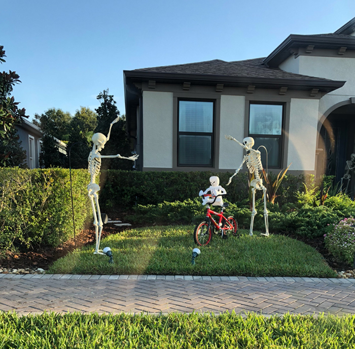 halloween skeletons teaching a young skeleton to ride a bike