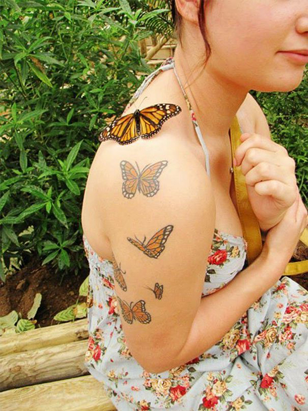  butterflies