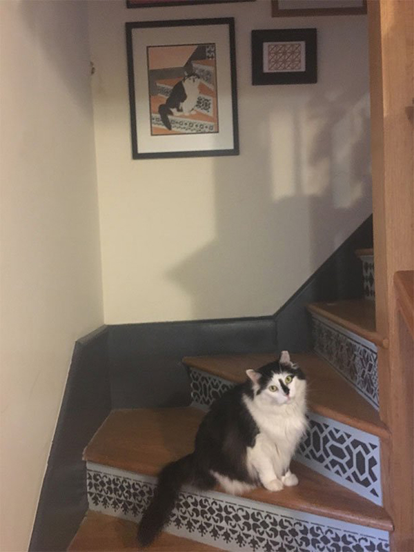 life imitated art cat on stairs