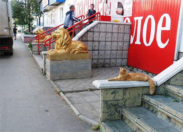 life imitated art ginger cat