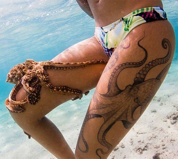 life imitated art octopus on legs