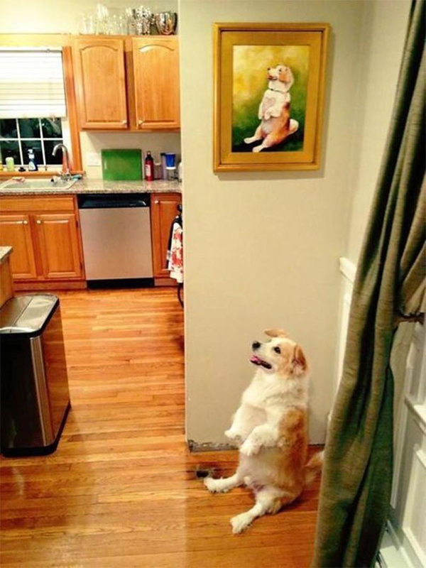 life imitated art sitting dog