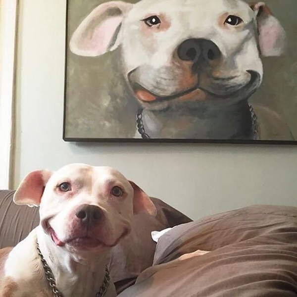 life imitated art smiling dog