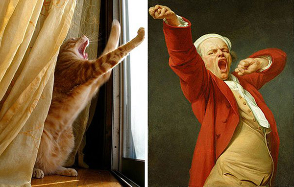 life imitated art yawning cat