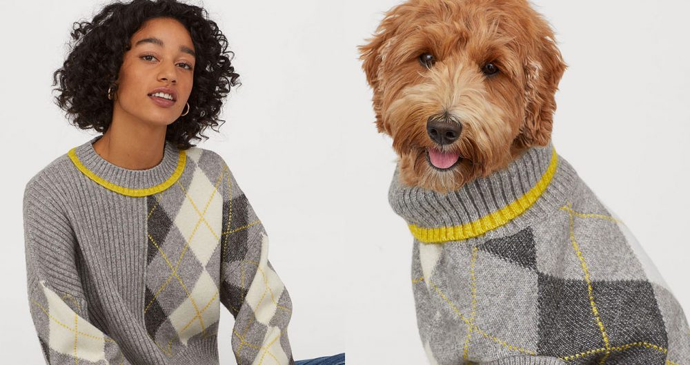 matching dog and owner jumpers
