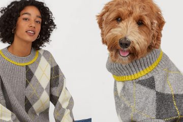matching dog and owner jumpers