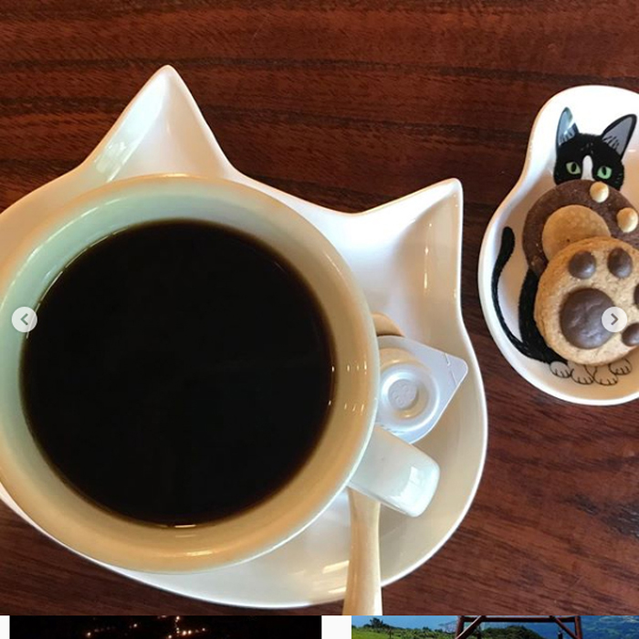 nyan nyan ji cat shrine in japan cafe coffee