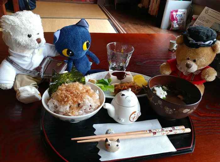 nyan nyan ji cat shrine in japan cat-themed food