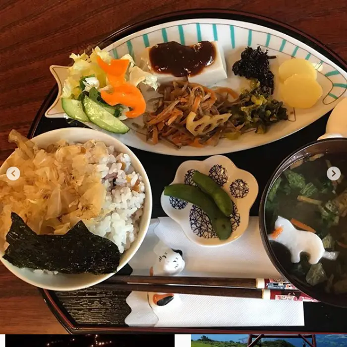 nyan nyan ji cat shrine in japan cat-themed meal