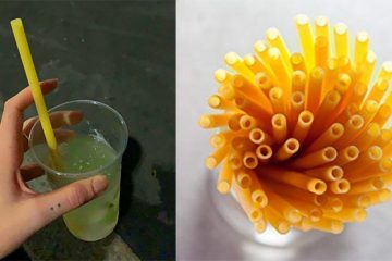 pasta straws