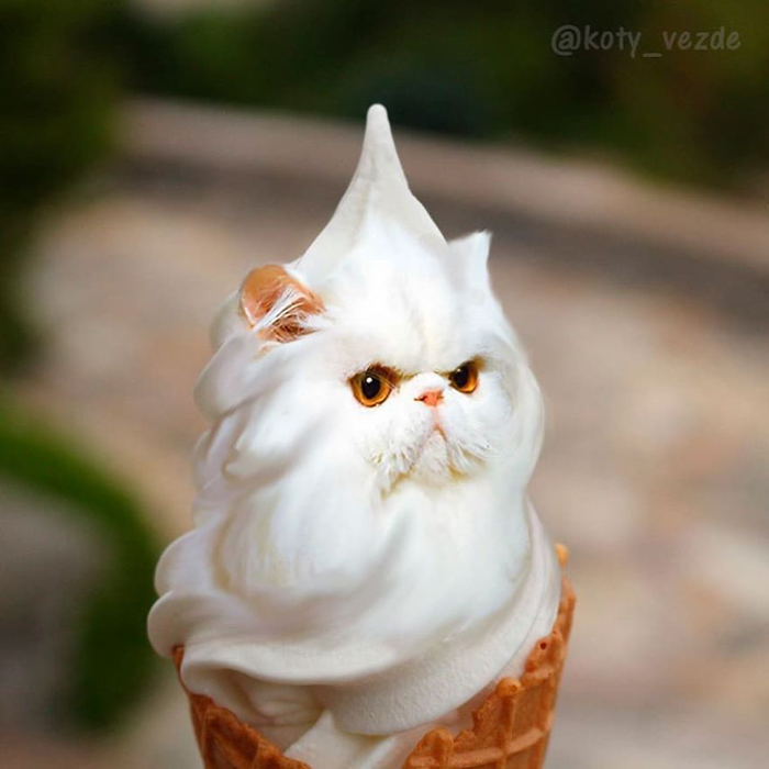 photoshopped cat faces koty vezde ice cream