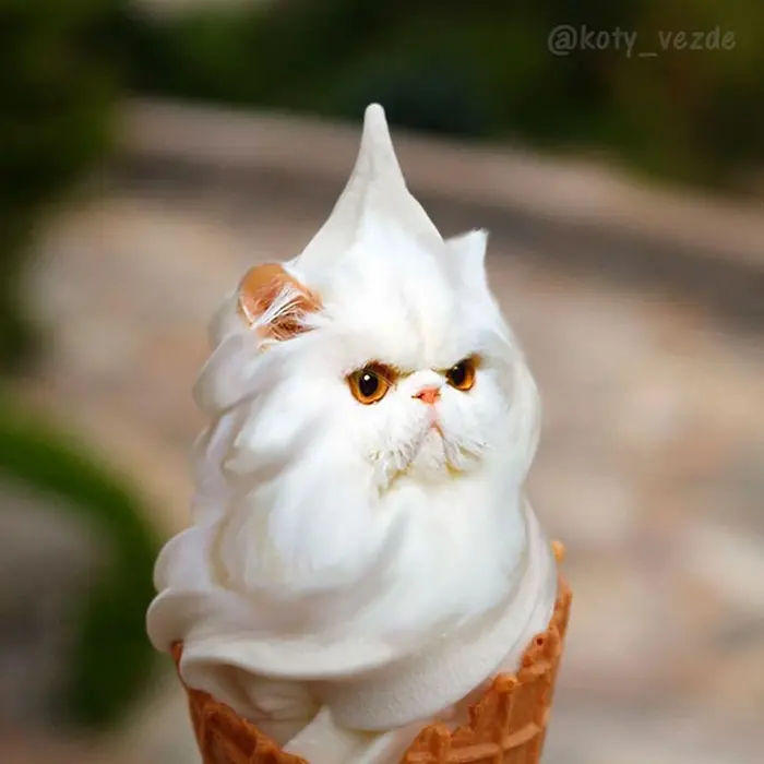 photoshopped cat faces koty vezde ice cream