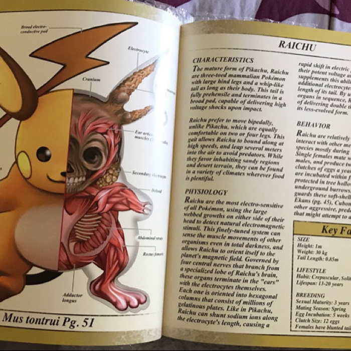 pokenatomy the pokemon anatomy book raichu