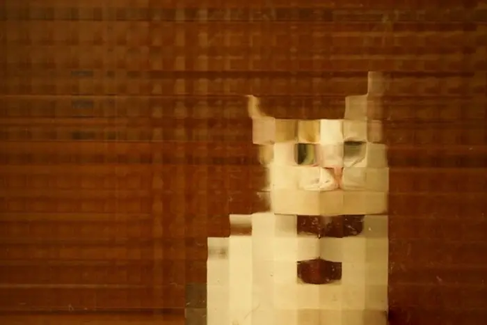 real life pixel cats 15