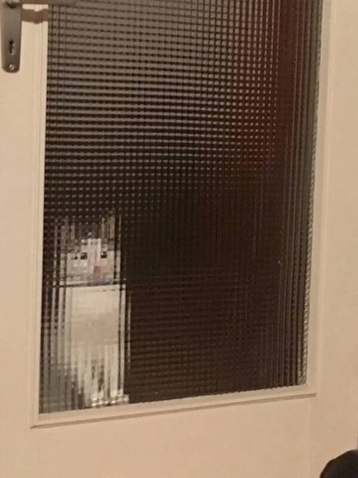 real life pixel cats 7