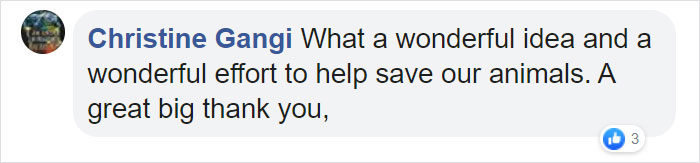 Christine Gangi Facebook Comment