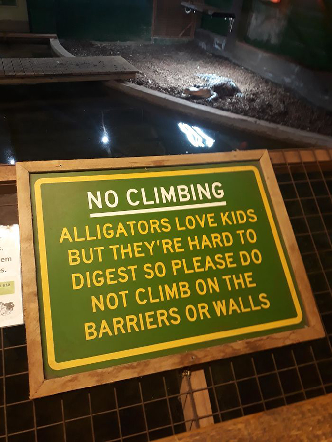 Funny Threatening Signs alligators love kids