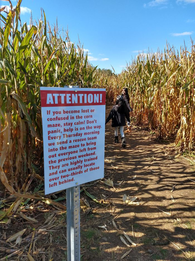 Funny Threatening Signs this cornmaze