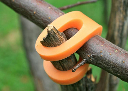 Monarch Orange Connecting Two Sticks