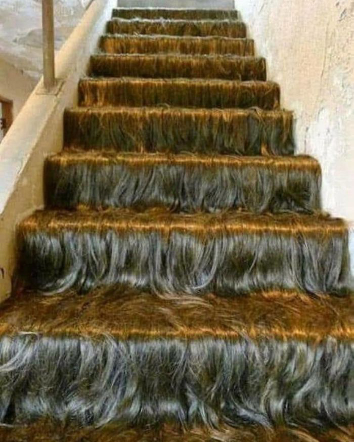 Staircase Covered with Hair