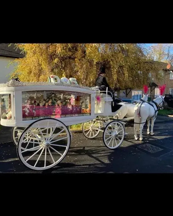 White Horse Drawn Hearse with a Pink Glittery Casket