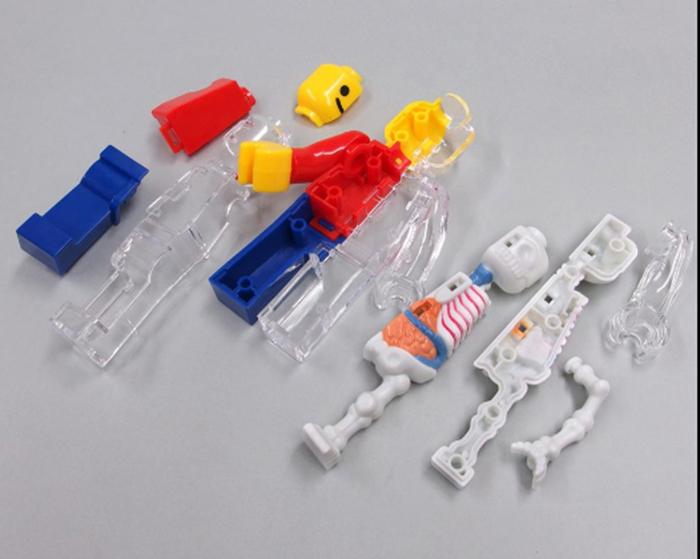 anatomical lego brick man disassembled