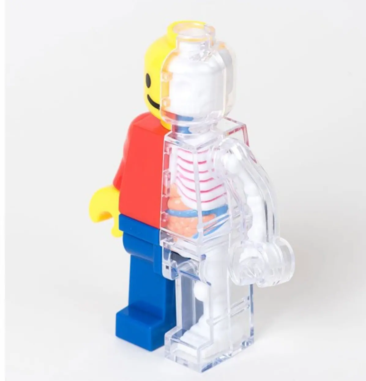 anatomical lego brick man half transparent