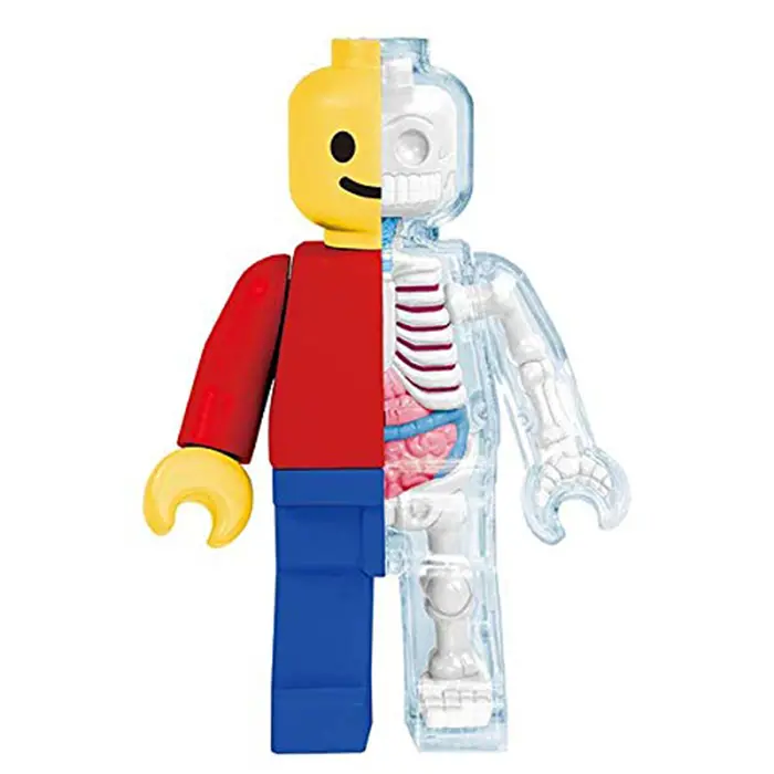 anatomical lego brick man
