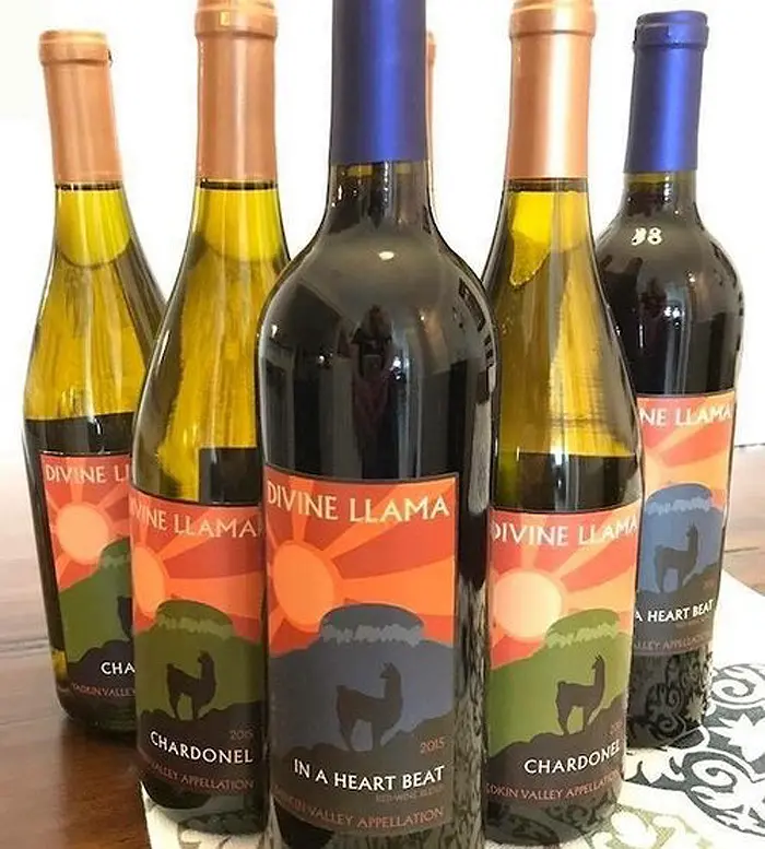 divine llama vineyards wines