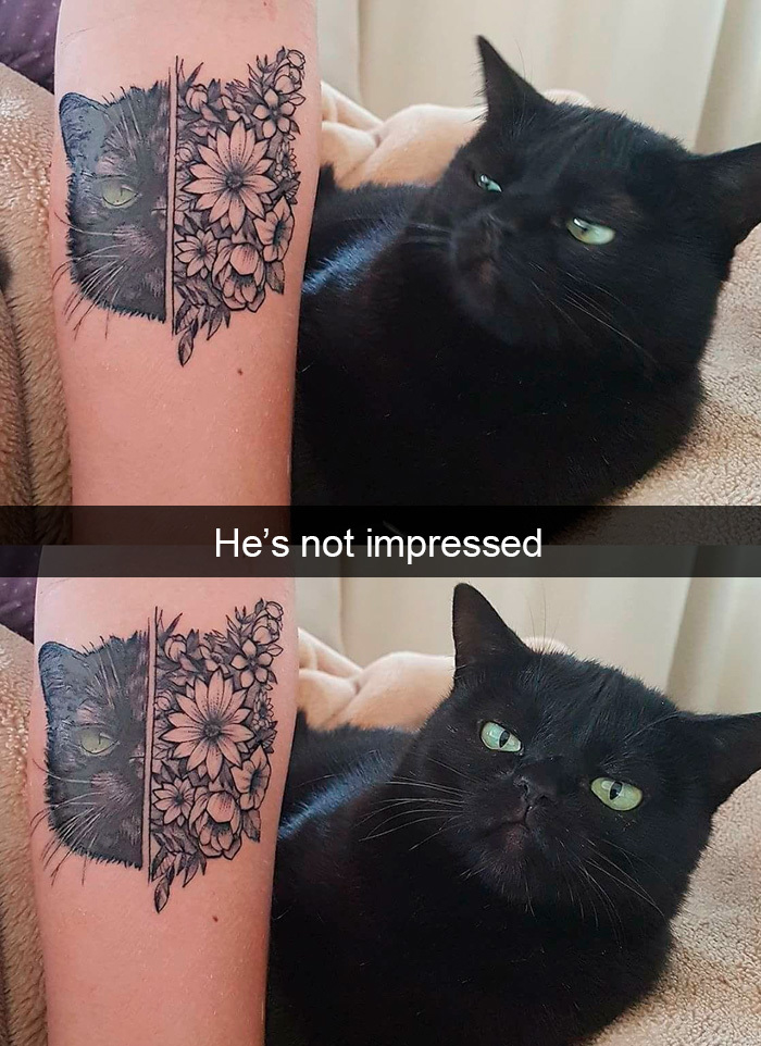 funny kitty memes tattoo