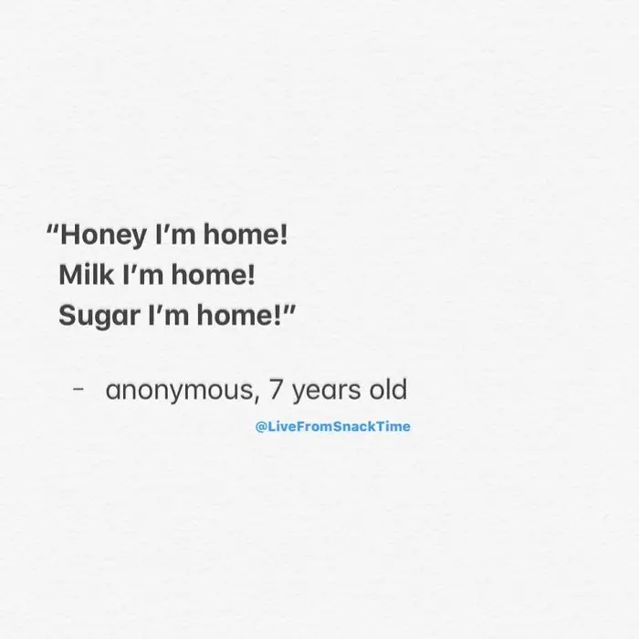 funny things kids say honey i am home