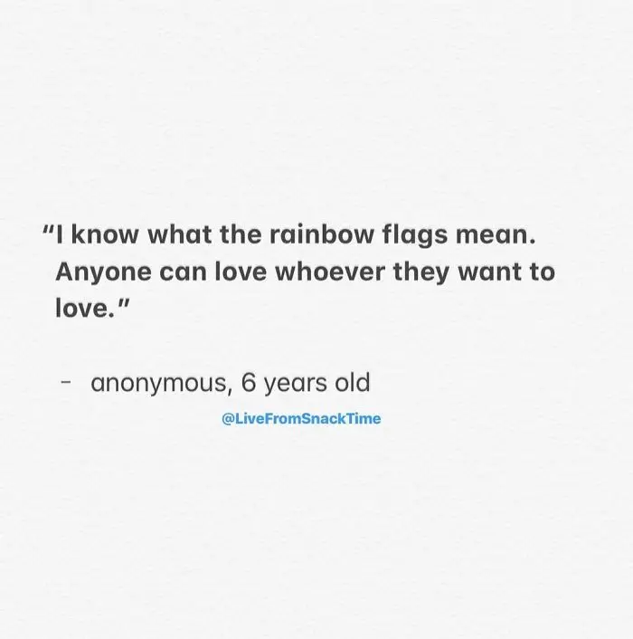 funny things kids say rainbow flag