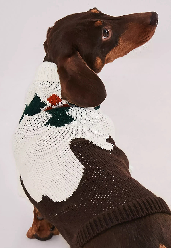 matching knitted jumpers for dogs and their owners pudding jumper closeup