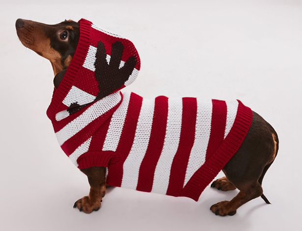 matching knitted jumpers for dogs and their owners striped reindeer sweater