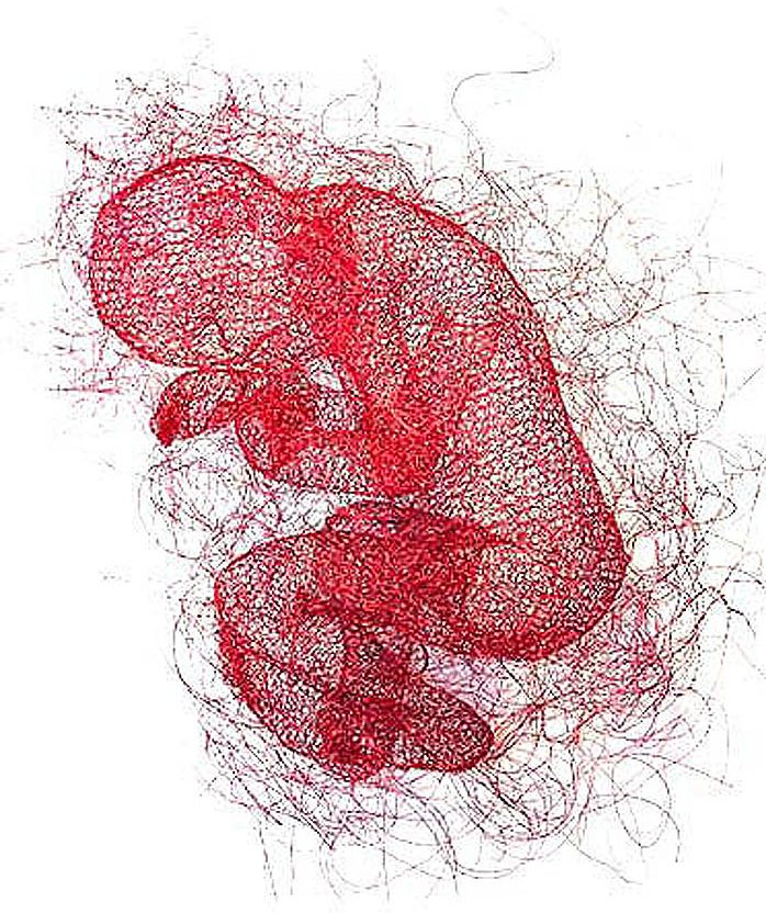 nadia zubareva steel wire sculptures embrion