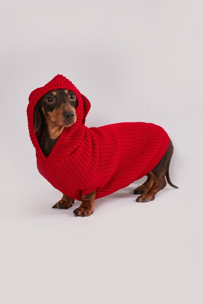 red ribbed jumper for dogs