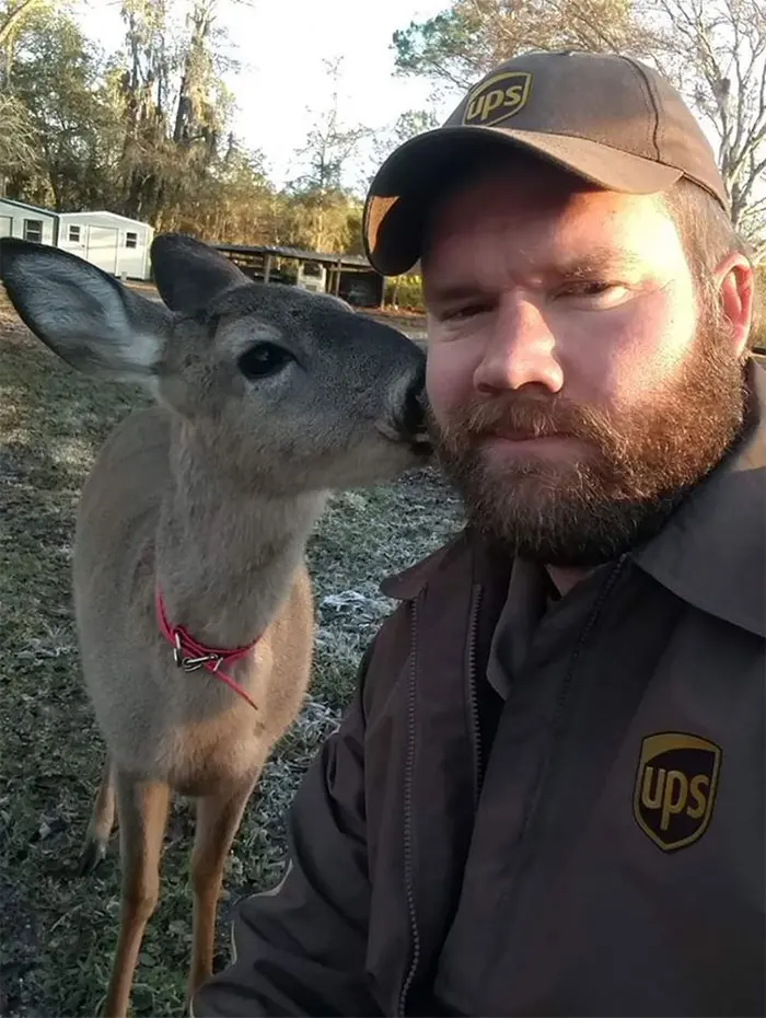 Adorable Deer